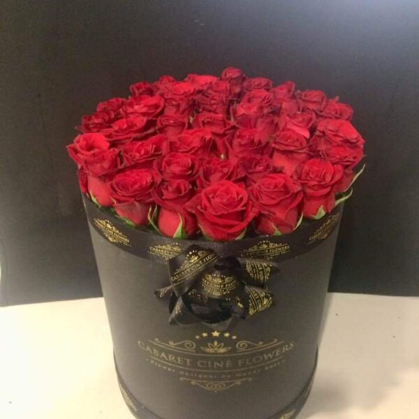 6a347c3d-9b88-463c-af29-85d91f857346