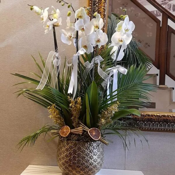 83579c30-9f10-4f58-8590-cb76fcab68f7